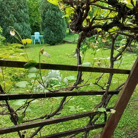 Sanja Knez Apartamento *